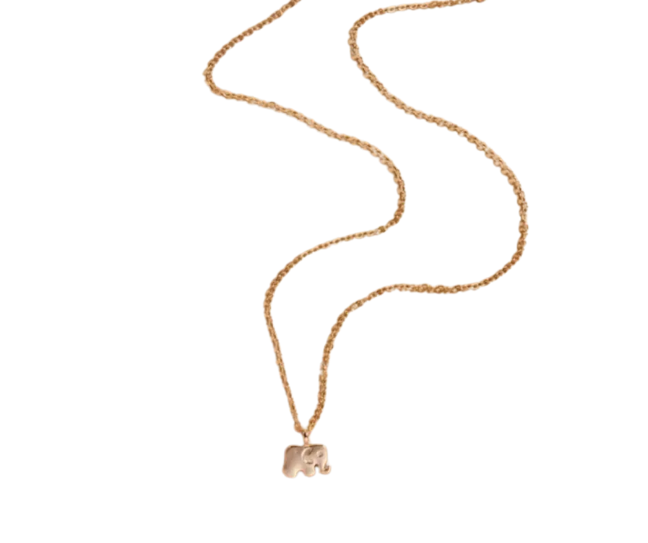 Collar con dije de elefante