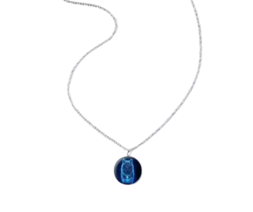 Collar con dije de imagen de lobo circular